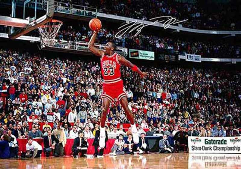 michael jordan signature dunk